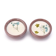 SaddleBrown Porcelain Candles, Bowl Shaped Smokeless Decorations, with Dryed Flowers, the Box only for Protection, No Supply Again if the Box Crushed, Green, 65x31mm, 2pcs/set(DIY-P009-D07)