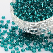 6/0 Glass Seed Beads, Silver Lined Round Hole, Round, Light Sea Green, 4mm, Hole: 1.5mm, about 6639 pcs/pound(SEED-A005-4mm-51A)