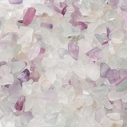 Natural Fluorite Beads, No Hole/Undrilled, Chip, 3~10x2~5x1~3mm, about 13880pcs/1000g(G-L491-03)