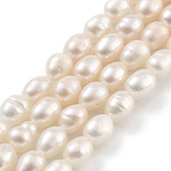 Natural Cultured Freshwater Pearl Beads Strands, Rice, Grade 2A+, Snow, 4~5mm, Hole: 0.6mm, about 26~27pcs/strand, 7.09''~7.28''(18~18.5cm)(PEAR-P062-06D)