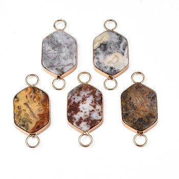 Natural Crazy Agate Connector Charms, with Light Gold Plated Brass Findings, Hexagon, 54x24x5mm, Hole: 7mm