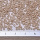 MIYUKI Round Rocailles Beads(SEED-X0054-RR0593)-4
