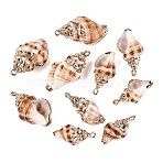 Electroplate Natural Spiral Shell Pendants, Conch Shell Charms with Golden Tone Iron Loops & Brass Edge Findings, Peru, 23~34x12~17.5x10.5~15.5mm, Hole: 1.6~1.8mm(SSHEL-Q100-39G)