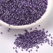 MIYUKI Delica Beads, Cylinder, Japanese Seed Beads, 11/0, (DB0430) Galvanized Dark Lilac, 1.3x1.6mm, Hole: 0.8mm, about 2000pcs/10g(X-SEED-J020-DB0430)