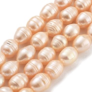 Natural Cultured Freshwater Pearl Beads Strands, Grade AB+, Rice, PeachPuff, 9~10mm, Hole: 0.6mm, about 19pcs/strand, 6.69~6.89''(17~17.5cm)(PEAR-P062-13B)