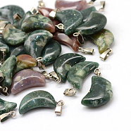 Moon Natural Indian Agate Pendants, with Platinum Tone Brass Findings, 21~24x12~14x5~6mm, Hole: 2x7mm(G-Q369-05)