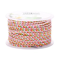 Multi-Color Decorative Nylon Twisted Cord, Nylon Rope String, for Home Decoration, Embellish Costumes, Bag Drawstrings, Pink, 2mm, about 25.1 yards(23m)/roll(NWIR-Z003-E19)