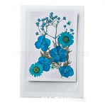 Pressed Dried Flowers, for Cellphone, Photo Frame, Scrapbooking DIY and Resin Art Floral Decors, 120x85x0.3mm(DIY-F076-01A)