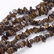 Natural Tiger Eye Stone Bead Strands, Chip, 4~10x4~6x2~4mm, Hole: 1mm, about 320pcs/strand, 35.4 inch(X-G-R192-19)