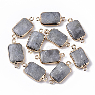 Edge Golden Plated Natural Labradorite Links connectors, with Golden Tone Iron Loops, Rectangle, 26~27x13.5x6~7mm, Hole: 1.6~1.8mm(G-S359-034F)