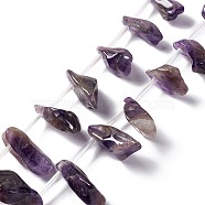 Natural Amethyst Beads Strands, Top Drilled, Nuggets, 13.5~27x8~15x5~11mm, Hole: 1.2mm, about 25pcs/strand, 7.87''(20cm)(G-I329-02)