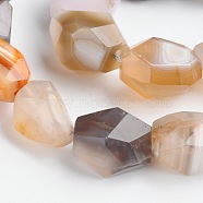 Nuggets Natural Botswana Agate Beads Strands, 15~22x8~17mm, Hole: 1mm, about 18~22pcs/strand, 15 inch(G-D770-09)