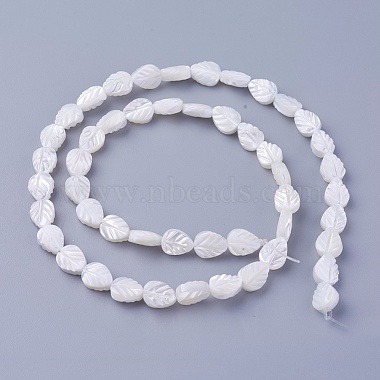 Shell Beads Strands(SSHEL-E571-33)-2