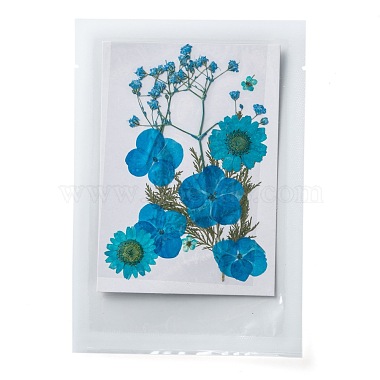 Pressed Dried Flowers(DIY-F076-01A)-1