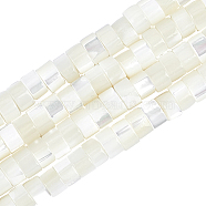 Natural Trochid Shell/Trochus Shell Beads Strands, Column, White, 3.5~4x2~2.5mm, Hole: 0.8mm, about 176pcs/strand, 15.94''(40.5cm)(PEAR-NB0001-13)