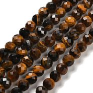 Natural Tiger Eye Beads Strands, Round, Faceted, 6mm, Hole: 1mm, about 63~66pcs/strand, 14.96~15.35''(38~39cm).(G-B107-A02-08)