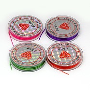 Flat Elastic Crystal String, String Cord Crystal Threads, Mixed Color, 0.8mm, about 10.93 yards(10m)/roll(EW-F001-M)