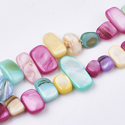 Freshwater Shell Beads Strands, Dyed, Nuggets, Mixed Color, 6~25x4~14x3~7mm, Hole: 1mm, about 96~100pcs/strand, 31.4 inch(SHEL-S274-40L)