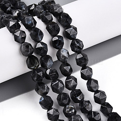 Natural Larvikite Beads Strands, Faceted, Star Cut Round Beads, 7~8x6~7.5x6~7.5mm, Hole: 1mm, about 48~49pcs/strand, 14.17~15.35''(36~39cm)(G-T139-8mm-51)