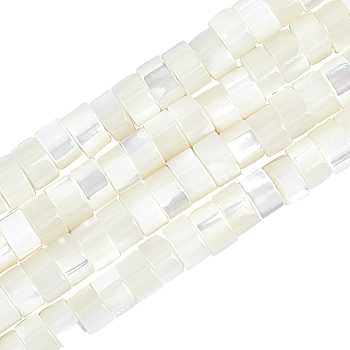Natural Trochid Shell/Trochus Shell Beads Strands, Column, White, 3.5~4x2~2.5mm, Hole: 0.8mm, about 176pcs/strand, 15.94''(40.5cm)