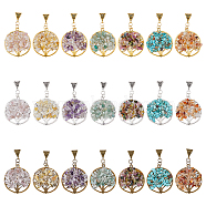 21Pcs 21 Styles Natural & Synthetic Mixed Gemstone Chip Pendants, Flat Round with Tree of Life Charms, with Alloy Findings, 65mm, Pendant: 43x38x3.5~9.5mm, Hole: 4x9mm, 1pc/style(PALLOY-AB00072)