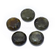 Natural Labradorite Cabochons, Flat Round, Faceted, 15.5~16x5mm(G-L514-006A)