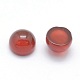 Natural Carnelian Cabochons(G-P393-R03-4mm)-2