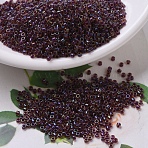 MIYUKI Delica Beads, Cylinder, Japanese Seed Beads, 11/0, (DB0061) Purple Lined Light Topaz Luster, 1.3x1.6mm, Hole: 0.8mm, about 2000pcs/10g(X-SEED-J020-DB0061)