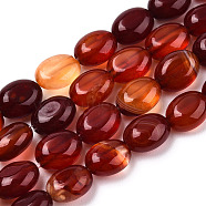 Natural Carnelian Beads Strands, Oval, 8x6x4mm, Hole: 1mm, about 49~50pcs/strand, 14.5 inch~14.7 inch(G-S357-B09)