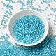 12/0 Transparent Glass Seed Beads(SEED-F003-03C-10)-2