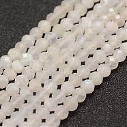 Natural Rainbow Moonstone Beads  Strands, Faceted, Round, 4mm, Hole: 1mm, about 86~100pcs/strand, 15.1~15.5 inch(38.5~39.5cm)(G-F460-23)