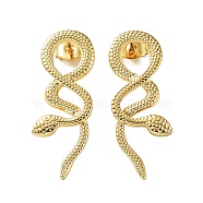 304 Stainless Steel Stud Earring, Garden Reptile Serpentine Snake Earring for Women, Real 18K Gold Plated, 30x11mm(EJEW-M231-01G)