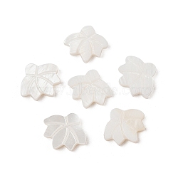 Natural Freshwater Shell Beads, Lotus Flower, Creamy White, 12~13x14~15x3mm, Hole: 1mm(SHER-R100-05A)