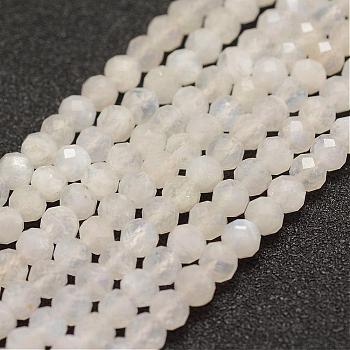 Natural Rainbow Moonstone Beads  Strands, Faceted, Round, 4mm, Hole: 1mm, about 86~100pcs/strand, 15.1~15.5 inch(38.5~39.5cm)