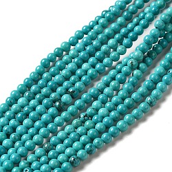 Natural Howlite Beads Strands, Dyed, Round, Turquoise, 3mm, Hole: 0.8mm, about 130~133pcs/strand, 15.39~15.75 inch(39.1~40cm)(G-C025-15B)