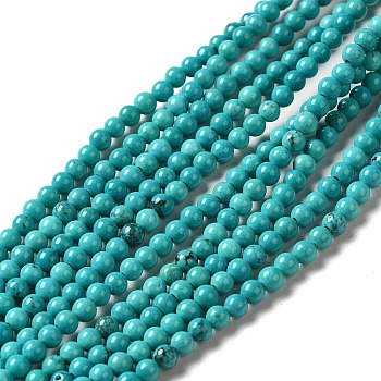 Natural Howlite Beads Strands, Dyed, Round, Turquoise, 3mm, Hole: 0.8mm, about 130~133pcs/strand, 15.39~15.75 inch(39.1~40cm)