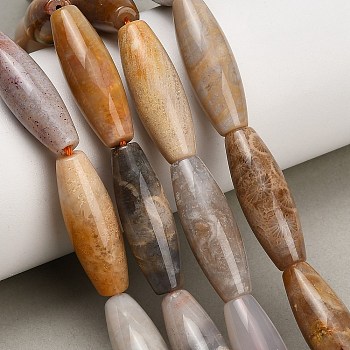 Natural Fossil Coral Beads Strands, Barrel Beads, 29~30x10mm, Hole: 1.4mm, about 13pcs/strand, 15.35''(39cm)