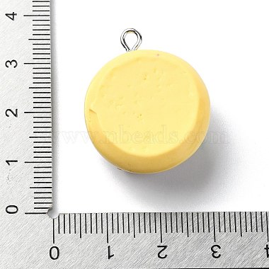 Resin Pendants(RESI-I058-02A)-3