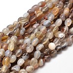 Natural Botswana Agate Nuggets Beads Strands, Tumbled Stone, 5~10x6~7x3~7mm, hole: 1mm, about 14.9 inch~15.7 inch(G-J335-07)