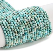 Natural HuBei Turquoise Beads Strands, Faceted, Round, 2mm, Hole: 0.5mm, about 169pcs/strand, 15.7 inch(40cm)(G-G792-38-01)