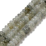 Natural White Labradorite Beads Strands, Rondelle, 4~4.5x2~2.5mm, Hole: 1.2mm, about 155~163pcs/strand, 15.24''~15.31''(38.7~38.9cm)(G-K343-C06-01)
