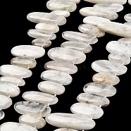 Natural Moonstone Beads Strands, Top Drilled, Oval Charms, 8~17.5mm wide, 16.5~44mm long, 3~8mm thick, hole: 0.9mm, about 32pcs/strand, 15.75''~(40~41cm)(G-M408-D03)
