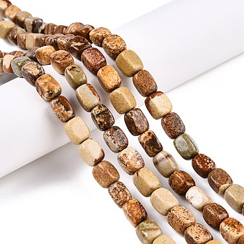 Natural Picture Jasper Beads Strands, Cuboid, 7~11.5x6~9x6~8mm, Hole: 1mm, about 33pcs/strand, 14.76''(37.5cm)