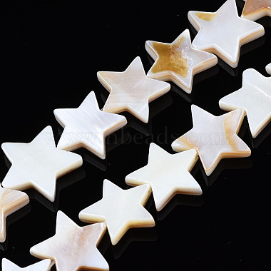 Seashell Color Star Freshwater Shell Beads