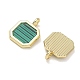 Alloy Acrylic Pendants(AL-CBA4262-03G-01)-2