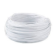 Yilisi 1 Roll Iron Wire, with Plastic-coated, Flat, White, 2x1mm, about 87.5~109.3 yards(80~100m)/roll, 1 roll(FIND-YS0001-07B)