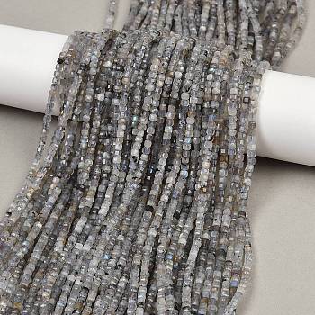 Natural Labradorite Beads Strands, Faceted, Cube, 3~3.5x3~3.5x3mm, Hole: 0.7mm, about 124~129pcs/strand, 15~15.0''(38.1~38.3cm)