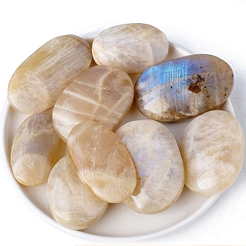 Natural Moonstone Palm Stones, Healing Pocket Stone, Oval, 40~70mm