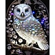 DIY Owl Diamond Painting Kit(DIAM-PW0013-02D)-1