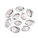 Electroplate Natural Paua Shell Pendants, Shell Shape Charms, with Iron Loops and Brass Findings, White, Platinum, 31~47x19~28x4~7mm, Hole: 1.6~1.8mm(SSHEL-Q100-15P)
